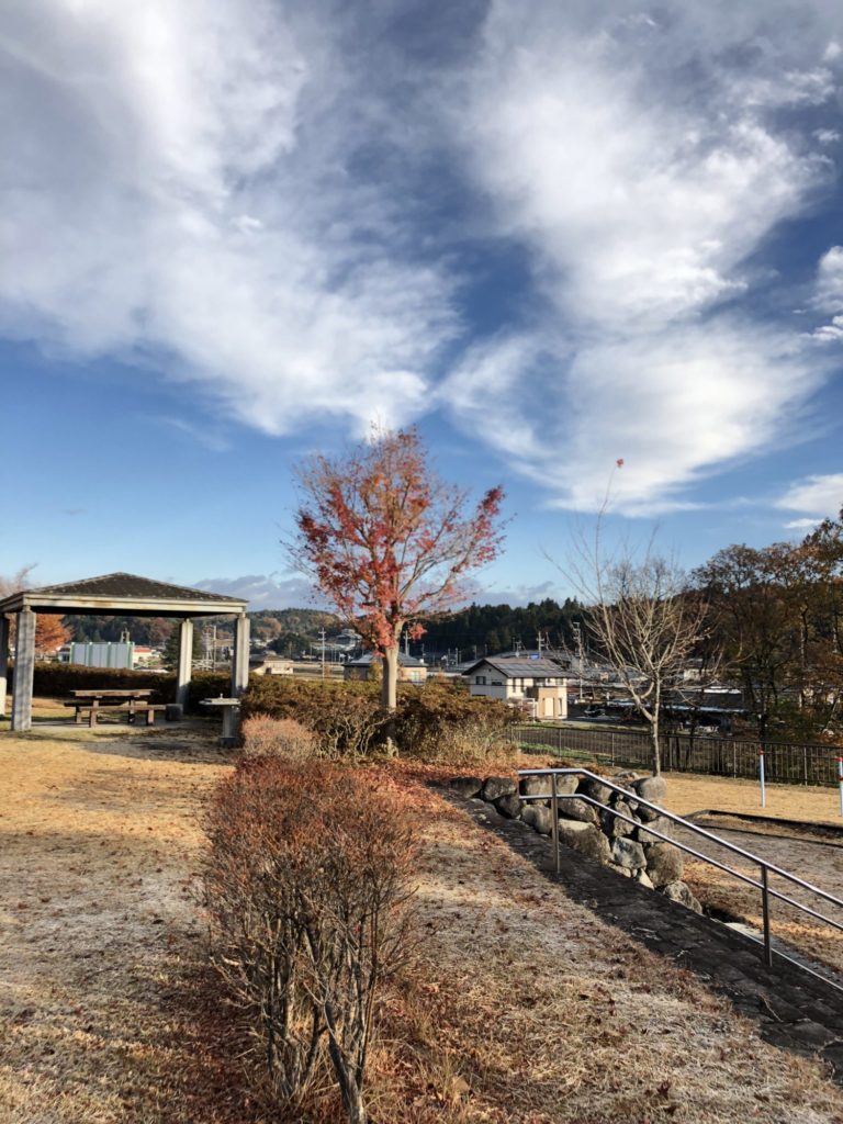 紅葉とドウダンツツジ